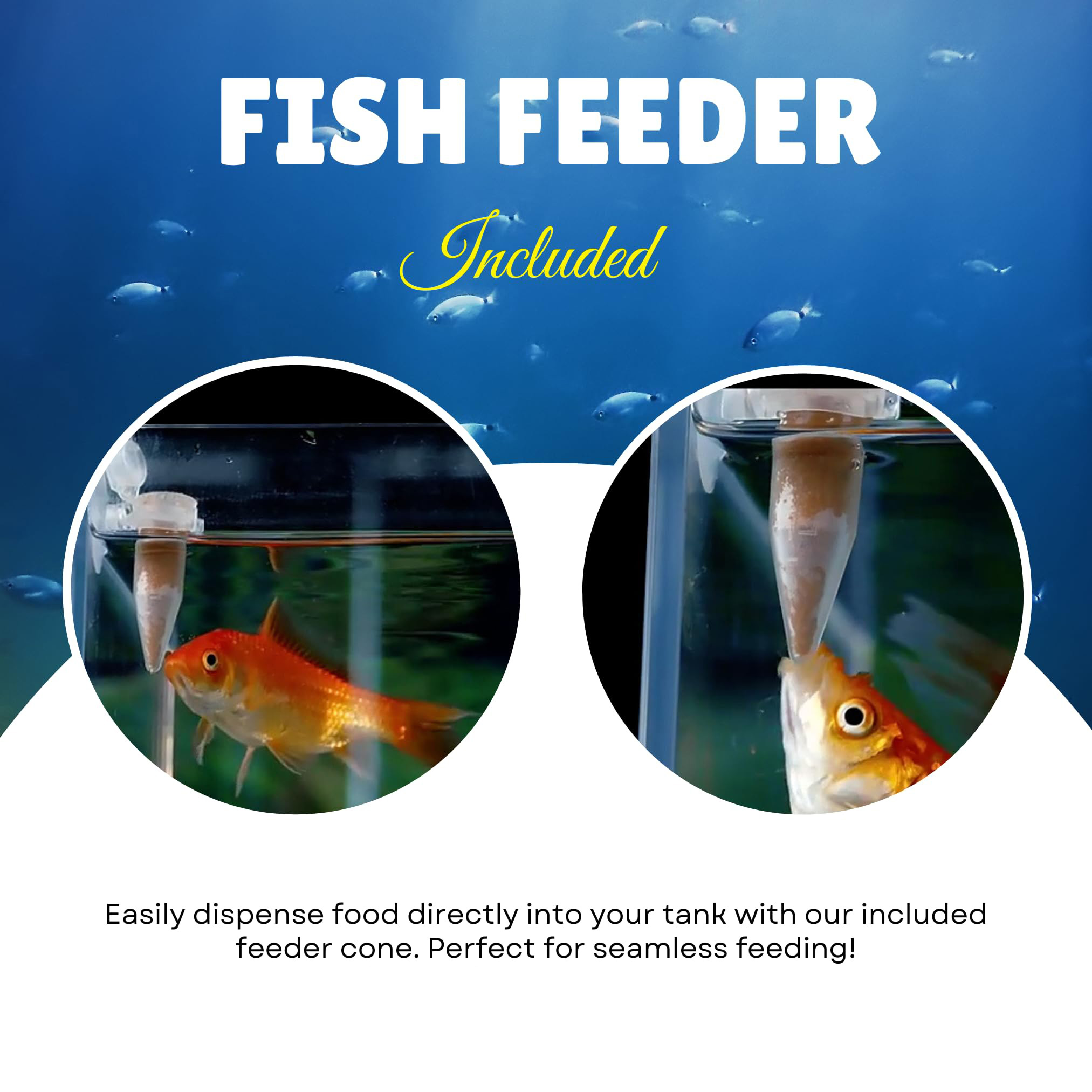 Complete Brine Shrimp Eggs & F - Baby Food Shrimp ulasan dan harga