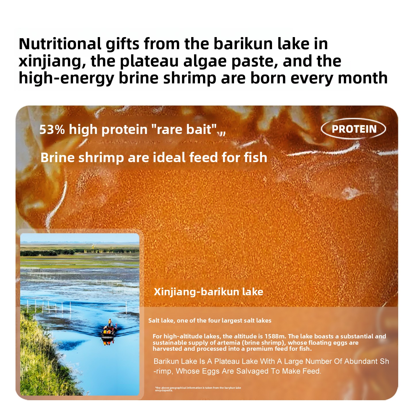 SANKii Decapsulated Brine Shri - Baby Food Shrimp ulasan dan harga