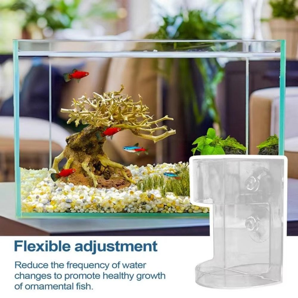 Acrylic Aquarium Feeders Ring  - Baby Food Shrimp ulasan dan harga