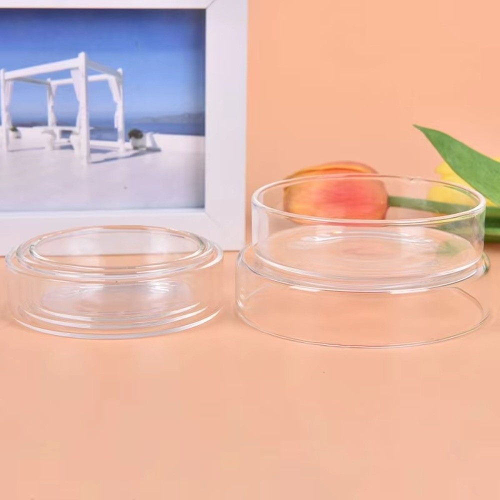 Glass Aquarium Feeding Bowl Du - Baby Food Shrimp ulasan dan harga
