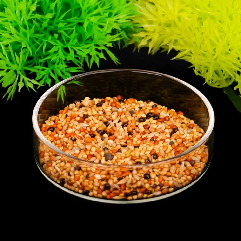 Glass Aquarium Feeding Bowl Du - Baby Food Shrimp ulasan dan harga