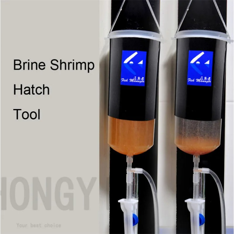 Fairy shrimp egg artemia alive - Baby Food Shrimp ulasan dan harga