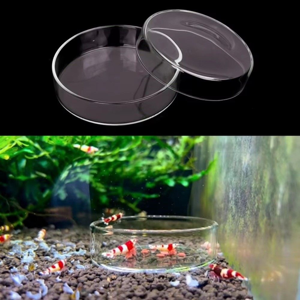 Glass Aquarium Feeding Bowl Du - Baby Food Shrimp ulasan dan harga