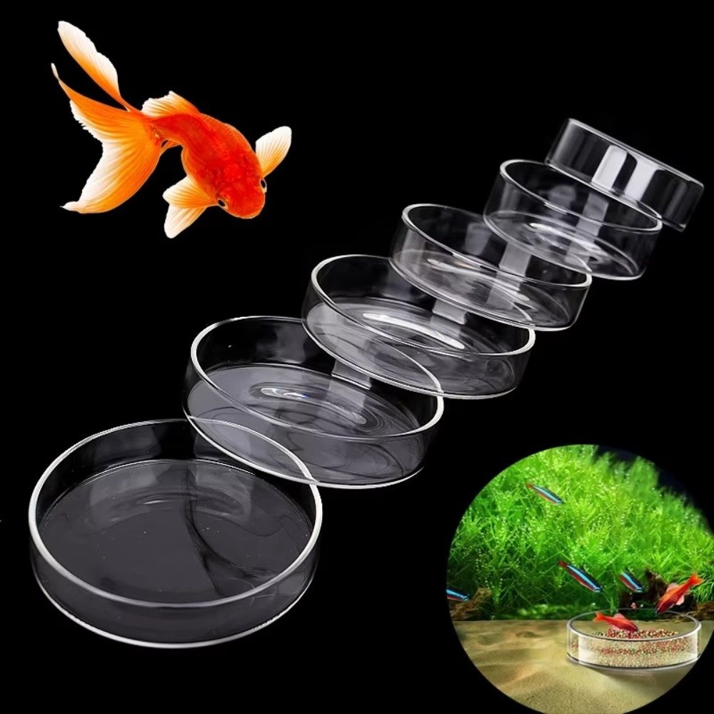 Glass Aquarium Feeding Bowl Du - Baby Food Shrimp ulasan dan harga