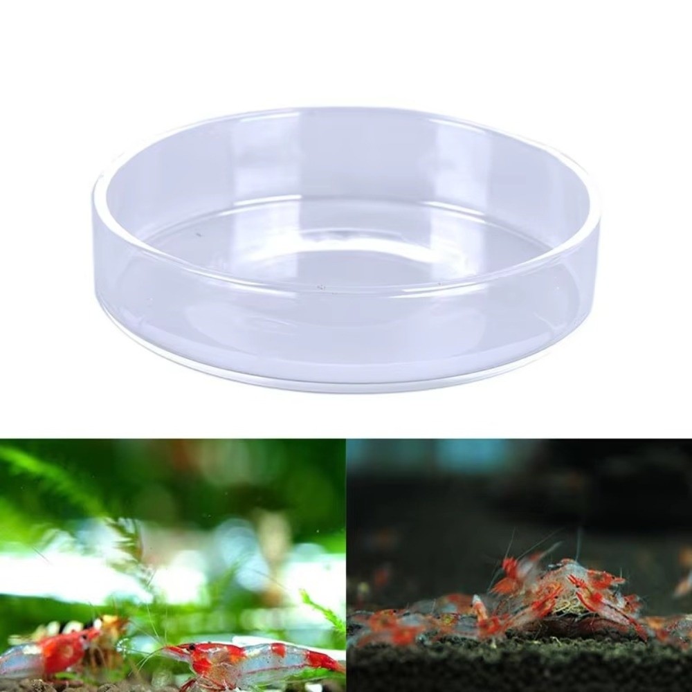 Glass Aquarium Feeding Bowl Du - Baby Food Shrimp ulasan dan harga