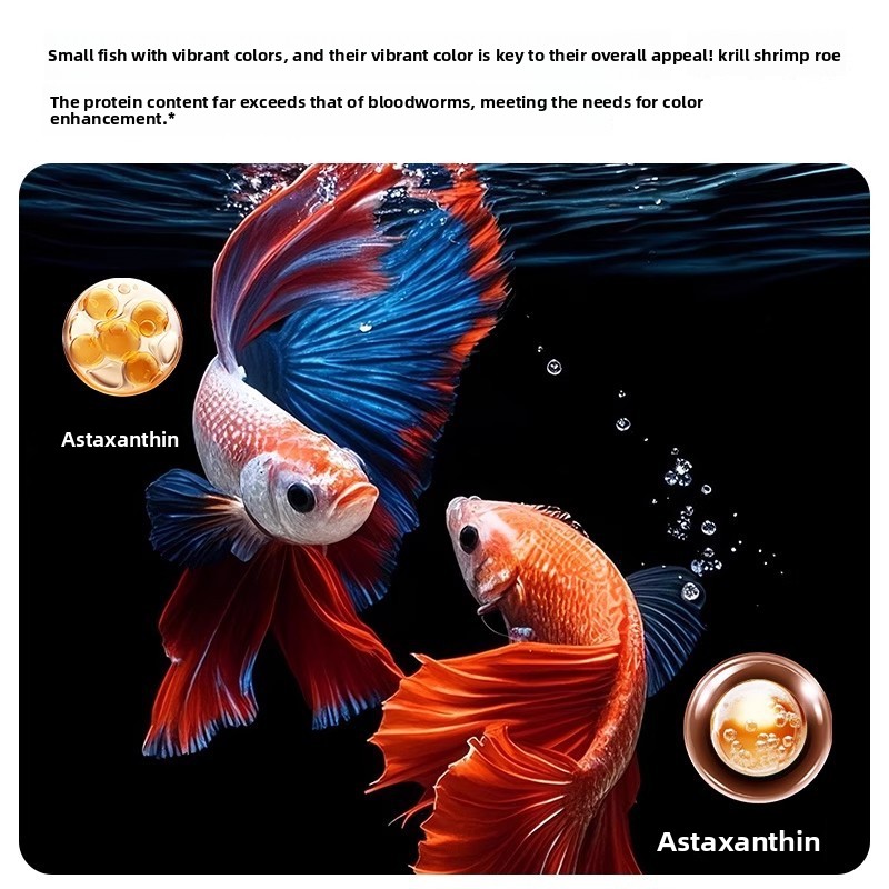 Yee Krill & Baby Shrimp Dry Fo - Baby Food Shrimp ulasan dan harga